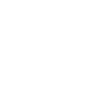 ico1 1